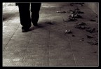 Walking #1