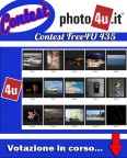 435° Contest: Free4U Votazione in corso... 435° Contest: Free4U Votazione in corso...