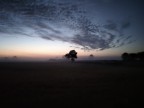 Alba magica... Alba magica...