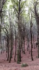Inizio d'autunno
