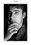 ::: D E N I S :::