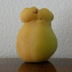 Solo per documentare come la Natura riesca spesso a meravigliarci.

kampes