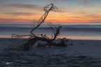 Natura morta.. al Tramonto.. Natura morta.. al Tramonto..