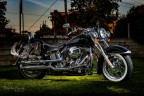 Fascino Harley Fascino Harley