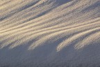 voglia di neve voglia di neve