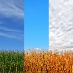 Luglio-Agosto-Settembre Luglio-Agosto-Settembre