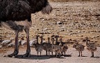 Ok, mamma, siamo pronti! Ok, mamma, siamo pronti!