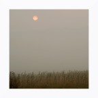 Pallido sole fra la nebbia