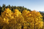 L'oro dell'autunno