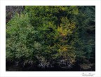 Sfumature d'autunno Sfumature d'autunno