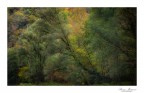Sfumature in autunno Sfumature in autunno