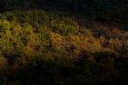 Colori dell'Autunno ... Mugello Colori dell'Autunno ... Mugello