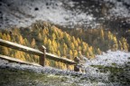 autunno autunno