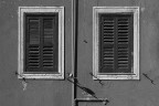 Ospite alla finestra Ospite alla finestra