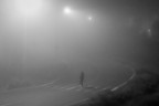 Fog Fog