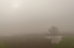 atmosfere ... atmosfere ...
