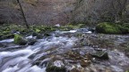 Dentro il torrente.. Dentro il torrente..
