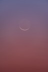 Alba di Luna calante al 1,4% - Siracusa 14/11/2020
D750 - Tamron 150-600mm
ISO 800 - f/8 - 0,6sec. - 600mm
Commenti e critiche sempre ben accetti.
Un saluto a tutti