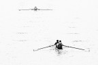 Vogare_DSC9358 Vogare_DSC9358