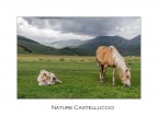 Nature Castelluccio