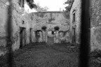 B&W lost B&W lost