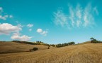 Dopo la trebbiatura Dopo la trebbiatura