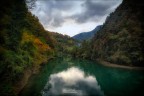 Semplicemente la natura Semplicemente la natura