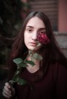 rosa rosa