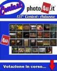 137 Contest Autunno - Ancora 1 giorno per votare...