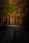 verso la luce verso la luce