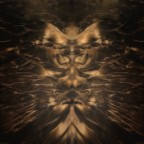 omaggio a Carlos Castaneda