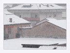 Nevica in citt�