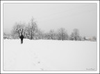 verso casa... verso casa...