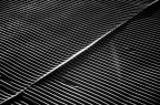 Linee Linee
