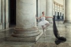La Bellezza dei Marmi La Bellezza dei Marmi
