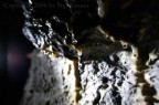 grotta grotta