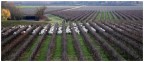 controllo... controllo...