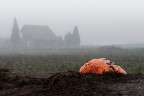Sei una zucca vuota Sei una zucca vuota