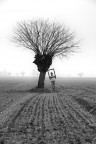 Open Air Museum - Seeking Support - Open Air Museum - Seeking Support -