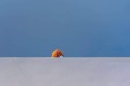 Minimal street Minimal street
