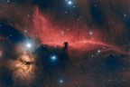 Nebulosa testa di cavallo Nebulosa testa di cavallo