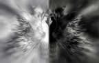Enantiodromia (corsa verso l’opposto ) Enantiodromia (corsa verso l’opposto )