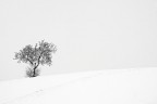 Let it snow! #7 Let it snow! #7