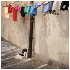 arcobaleno del vicolo