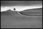 Antico Casolare Antico Casolare