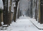 nel silenzio... nel silenzio...