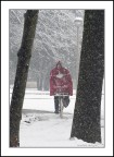 in bici verso casa... in bici verso casa...