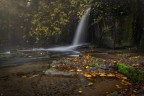 autunno autunno
