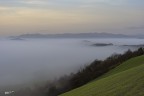 Nebbia al mattino..