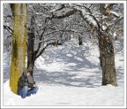 dopo la nevicata, il sole.... dopo la nevicata, il sole....